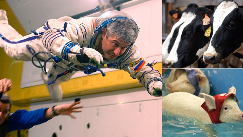 Images via the AP.